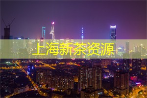 拍摄生活美学，记录上海茶庄的瞬间